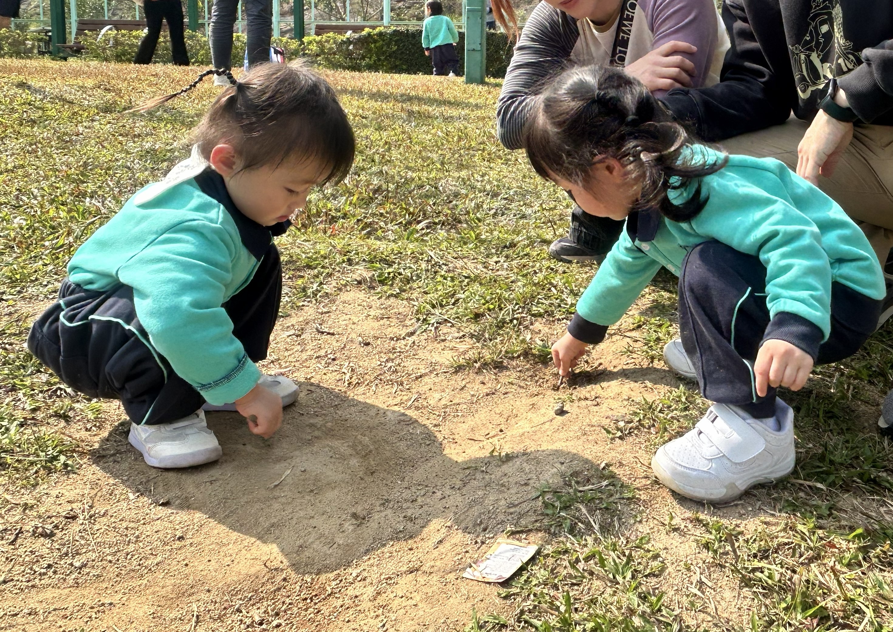 Nature Experience Activities